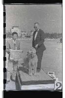 登錄號:KH2002.019.0047藏品圖，第8張