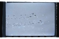 登錄號:KH2002.019.0072藏品圖，第4張