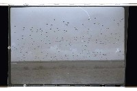 登錄號:KH2002.019.0072藏品圖，第5張