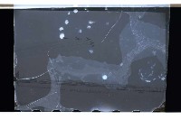 登錄號:KH2002.019.0083藏品圖，第11張