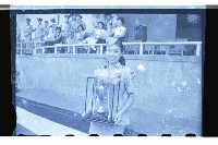 登錄號:KH2002.019.0084藏品圖，第13張