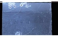 登錄號:KH2002.019.0091藏品圖，第7張