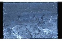 登錄號:KH2002.019.0091藏品圖，第14張