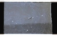 登錄號:KH2002.019.0092藏品圖，第12張