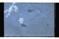 登錄號:KH2002.019.0092藏品圖，第14張