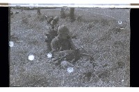 登錄號:KH2002.019.0096藏品圖，第13張