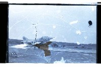 登錄號:KH2002.019.0099藏品圖，第3張