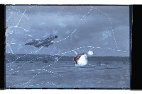 登錄號:KH2002.019.0099藏品圖，第12張