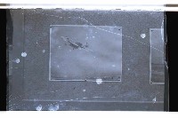 登錄號:KH2002.019.0100藏品圖，第10張