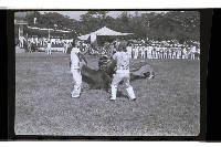 登錄號:KH2002.019.0113藏品圖，第16張