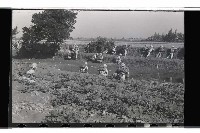 登錄號:KH2002.019.0117藏品圖，第25張