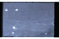 登錄號:KH2002.019.0118藏品圖，第2張