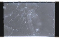 登錄號:KH2002.019.0118藏品圖，第4張