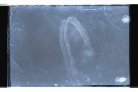 登錄號:KH2002.019.0118藏品圖，第5張