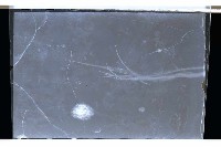 登錄號:KH2002.019.0118藏品圖，第12張