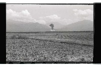 登錄號:KH2002.019.0119藏品圖，第13張