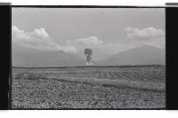 登錄號:KH2002.019.0119藏品圖，第17張