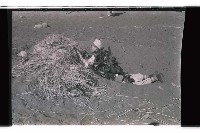 登錄號:KH2002.019.0119藏品圖，第22張