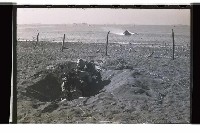 登錄號:KH2002.019.0119藏品圖，第24張