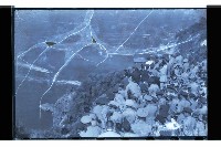 登錄號:KH2002.019.0120藏品圖，第3張