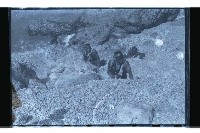 登錄號:KH2002.019.0121藏品圖，第12張