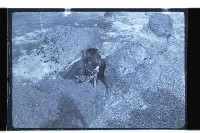 登錄號:KH2002.019.0121藏品圖，第38張