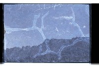 登錄號:KH2002.019.0122藏品圖，第11張