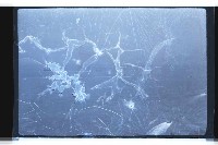 登錄號:KH2002.019.0122藏品圖，第19張