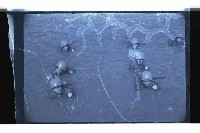 登錄號:KH2002.019.0123藏品圖，第11張