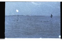 登錄號:KH2002.019.0124藏品圖，第3張