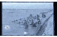 登錄號:KH2002.019.0124藏品圖，第12張