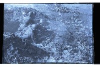 登錄號:KH2002.019.0124藏品圖，第29張