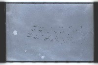 登錄號:KH2002.019.0126藏品圖，第5張