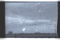 登錄號:KH2002.019.0126藏品圖，第6張