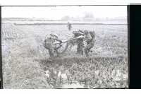 登錄號:KH2002.019.0126藏品圖，第13張