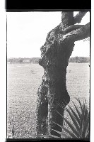 登錄號:KH2002.019.0147藏品圖，第15張