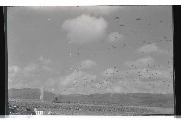 登錄號:KH2002.019.0148藏品圖，第7張