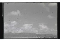 登錄號:KH2002.019.0148藏品圖，第8張