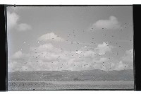 登錄號:KH2002.019.0148藏品圖，第9張