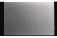 登錄號:KH2002.019.0148藏品圖，第18張