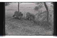 登錄號:KH2002.019.0148藏品圖，第38張