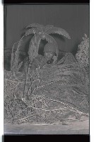 登錄號:KH2002.019.0150藏品圖，第22張