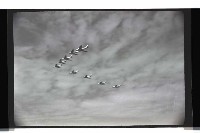 登錄號:KH2002.019.0155藏品圖，第17張