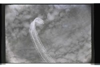 登錄號:KH2002.019.0155藏品圖，第20張