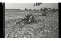 登錄號:KH2002.019.0168藏品圖，第8張