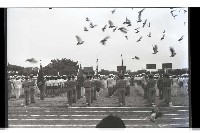 登錄號:KH2002.019.0175藏品圖，第9張