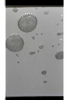 登錄號:KH2002.019.0191藏品圖，第8張