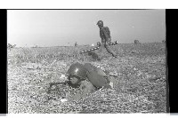 登錄號:KH2002.019.0191藏品圖，第21張