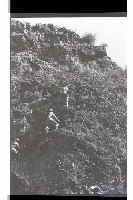 登錄號:KH2002.019.0193藏品圖，第3張