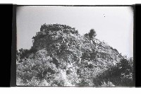 登錄號:KH2002.019.0193藏品圖，第50張